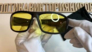 Солнцезащитные очки мужские Foster Grant