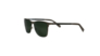 Солнцезащитные очки мужские Roberto Cavalli